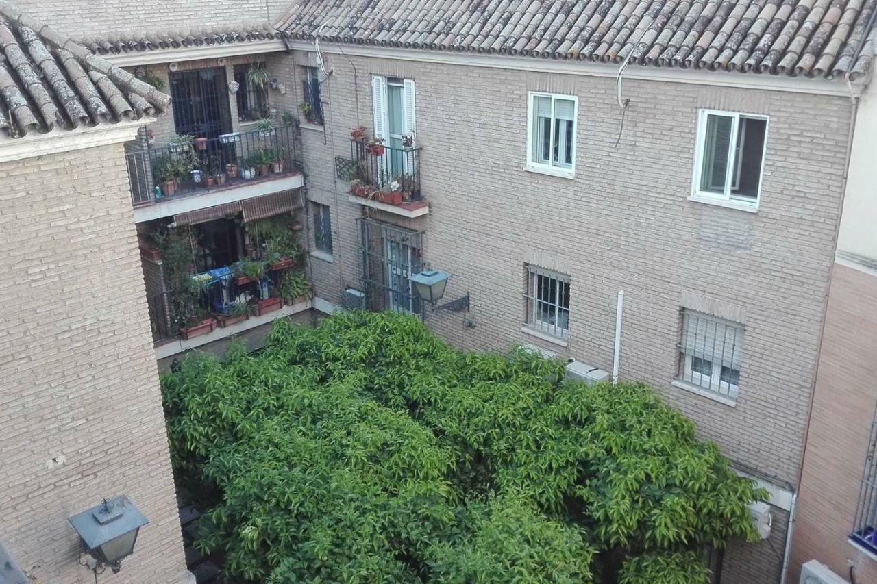 Alfalfa Home Sevilla Kültér fotó